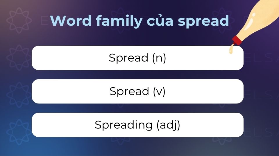 Word family của spread Word family của spread