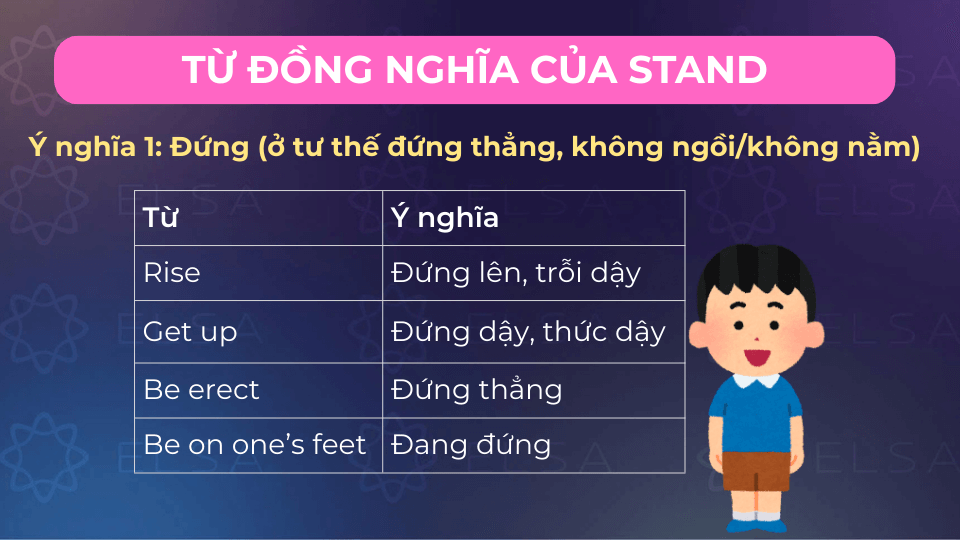 Từ đồng nghĩa stand có nghĩa đứng