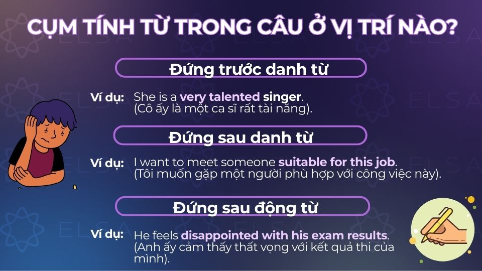 Cụm tính từ thường đứng trước/sau danh từ hoặc đứng sau động từ