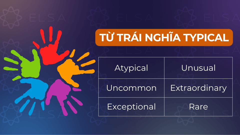 Các từ trái nghĩa với typical Các từ trái nghĩa với typical
