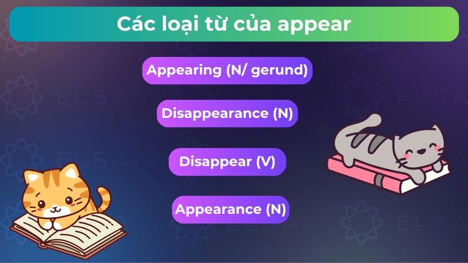 Một số loại từ của appear
