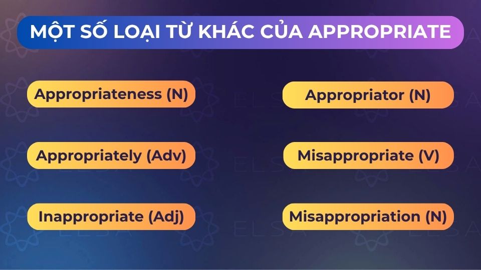 Một số loại từ khác của appropriate