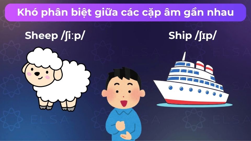 Nhiều người không phân biệt được /ɪ/ và /i:/