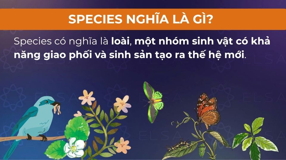 Species có nghĩa là loài