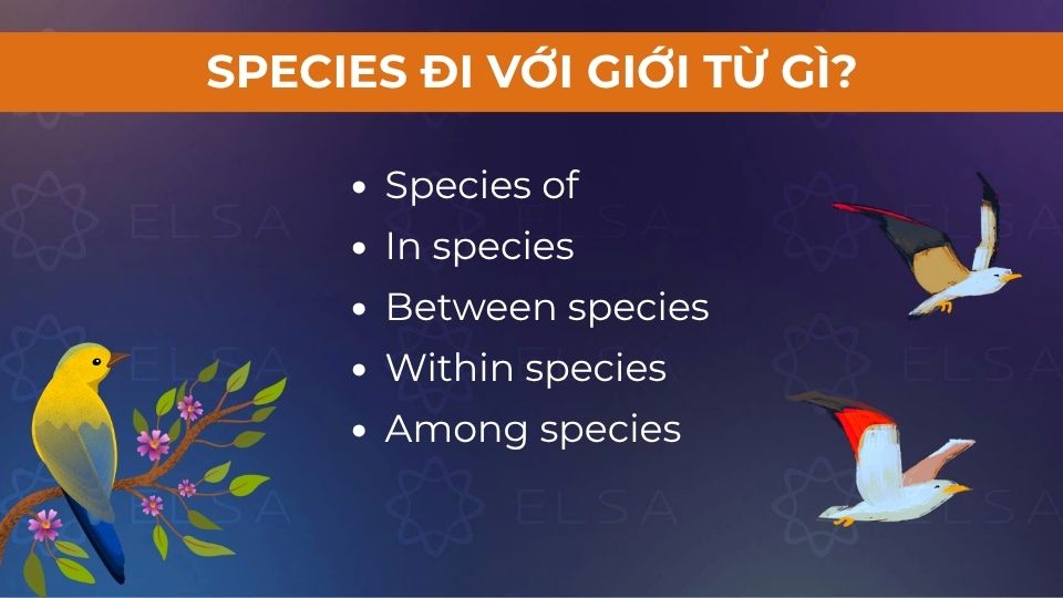 Các giới từ đi cùng species