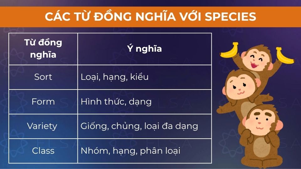 Một số từ đồng nghĩa với species