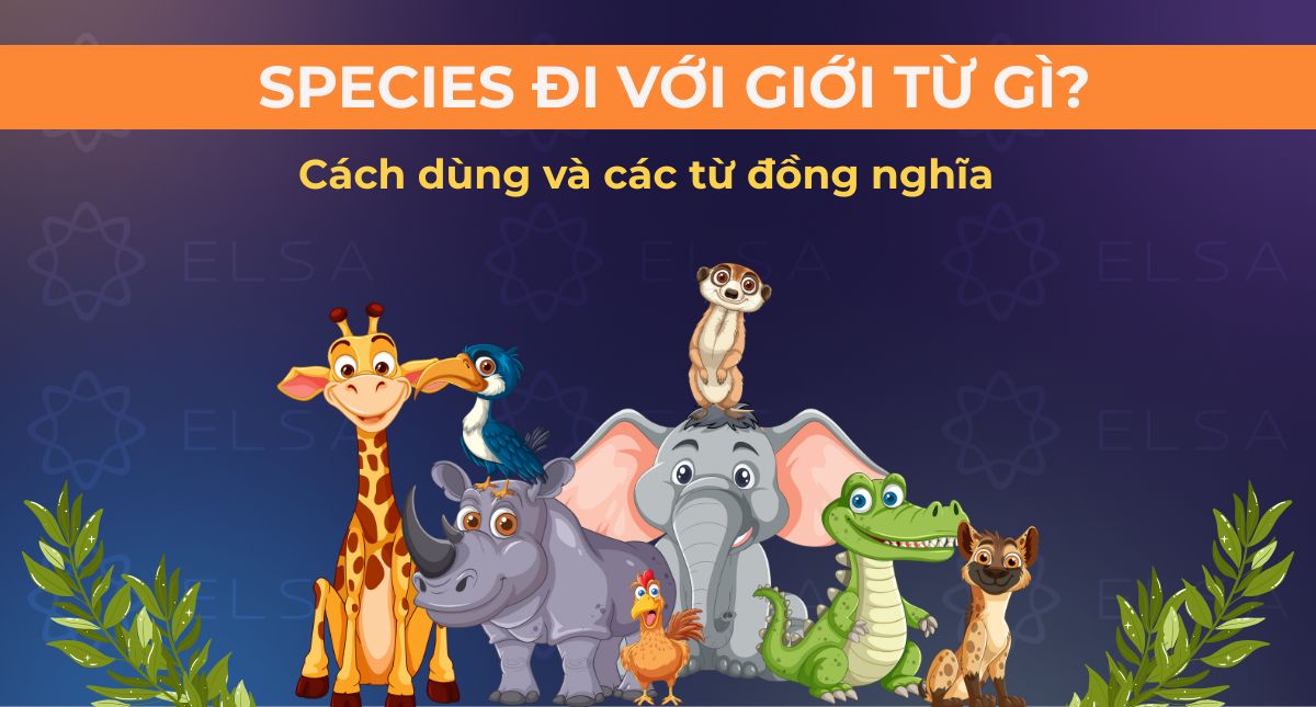Species đi với giới từ gì? Cách dùng và các từ đồng nghĩa
