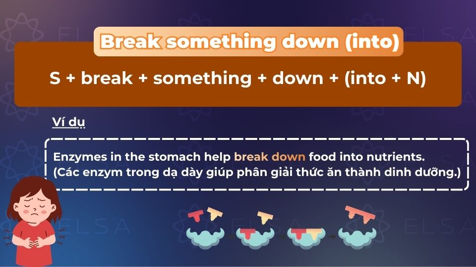 Cấu trúc Break something down (into)