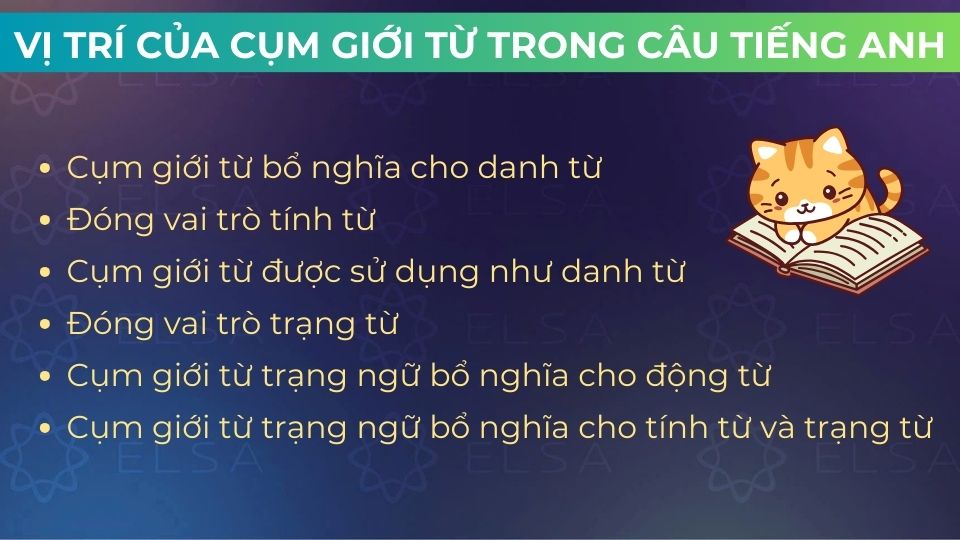 Cụm giới từ có vai trò rất đa dạng trong câu