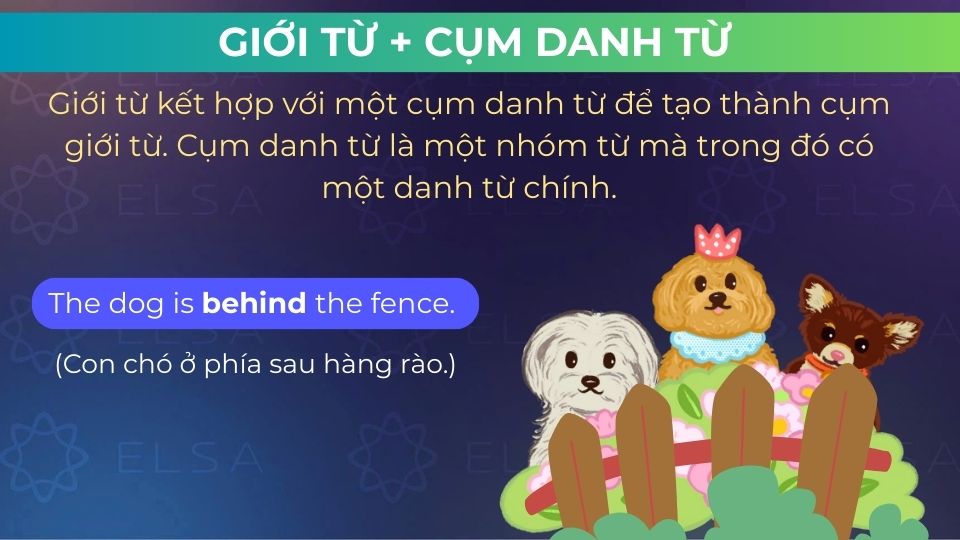 Câu ví dụ giới từ + cụm danh từ