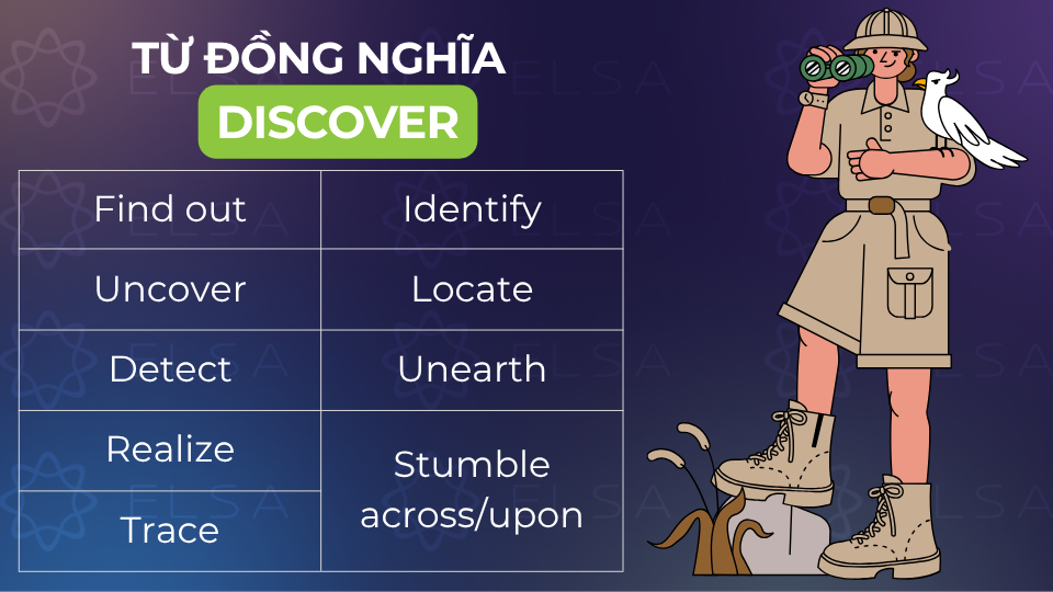Các từ đồng nghĩa với discover