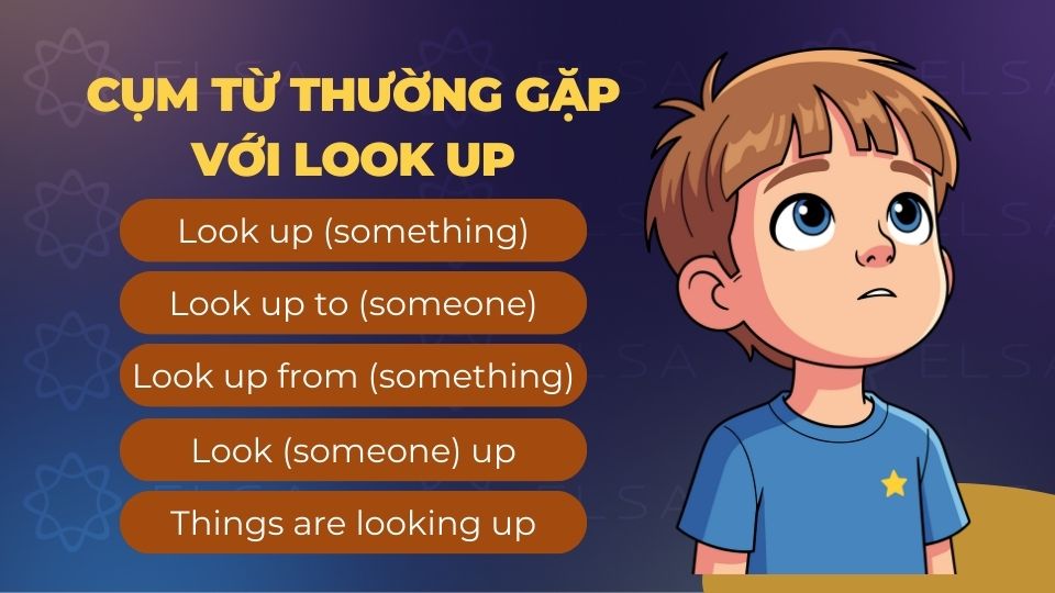 Một số cụm từ thường gặp với look up Một số cụm từ thường gặp với look up