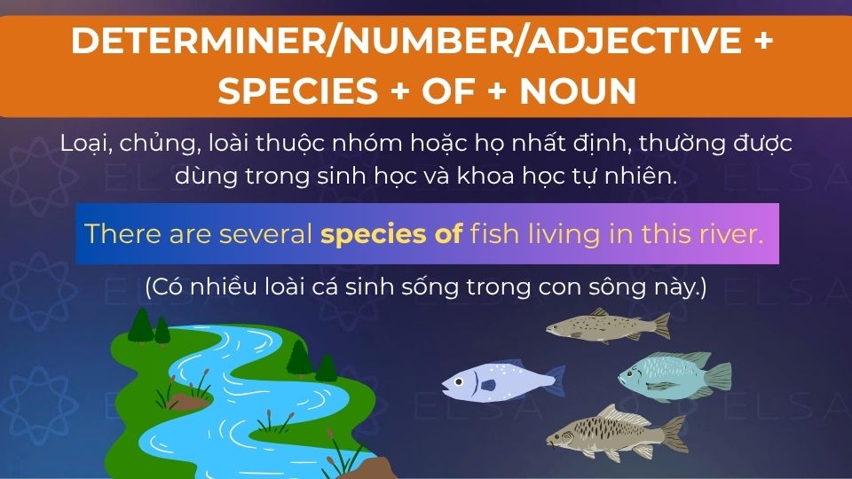 Câu ví dụ species of