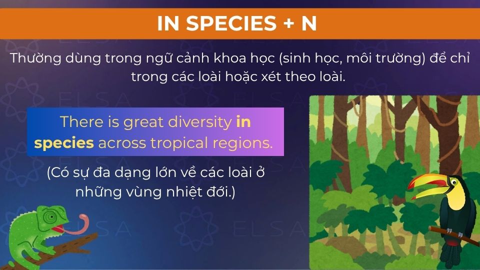 Câu ví dụ in species