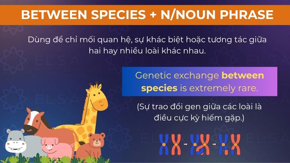Câu ví dụ between species