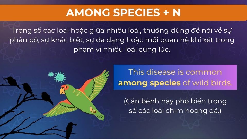 Câu ví dụ among species