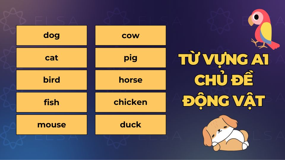Từ vựng A1 chủ đề về động vật