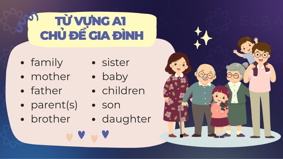 Từ vựng A1 chủ đề gia đình