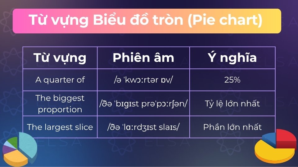 Từ vựng dạng bài Biểu đồ tròn (Pie chart)