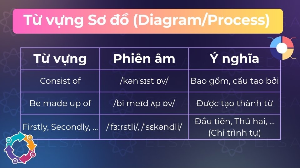 Từ vựng dạng Sơ đồ (Diagram/Process)
