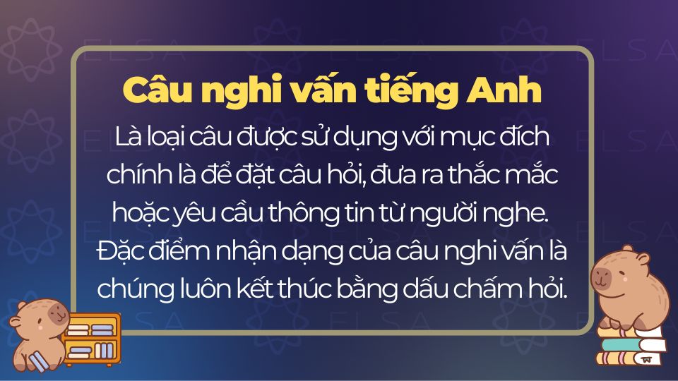 Câu nghi vấn tiếng Anh là gì?