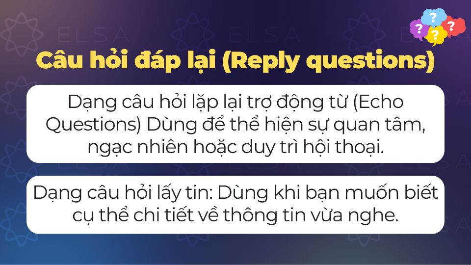 Câu hỏi đáp lại (Reply questions)