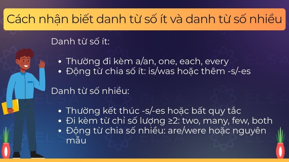 Danh từ số ít chỉ một người, vật hoặc khái niệm, danh từ số nhiều chỉ nhiều người, vật hoặc khái niệm Danh từ số ít chỉ một người, vật hoặc khái niệm, danh từ số nhiều chỉ nhiều người, vật hoặc khái niệm