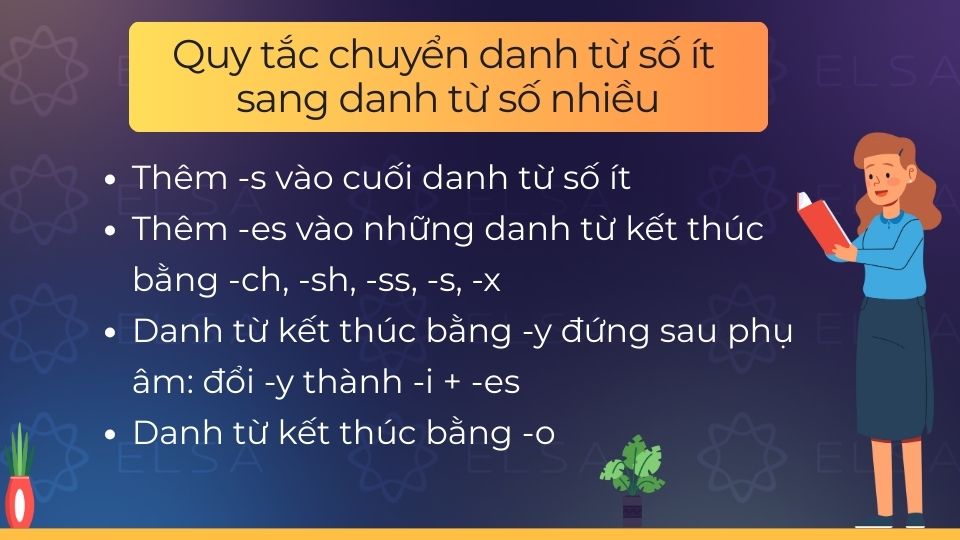 Thêm -s hoặc -es vào danh từ số ít để tạo danh từ số nhiều Thêm -s hoặc -es vào danh từ số ít để tạo danh từ số nhiều