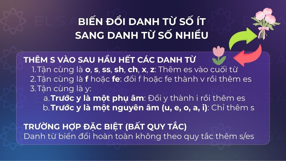 Một số cách biến đổi danh từ số ít sang số nhiều Một số cách biến đổi danh từ số ít sang số nhiều