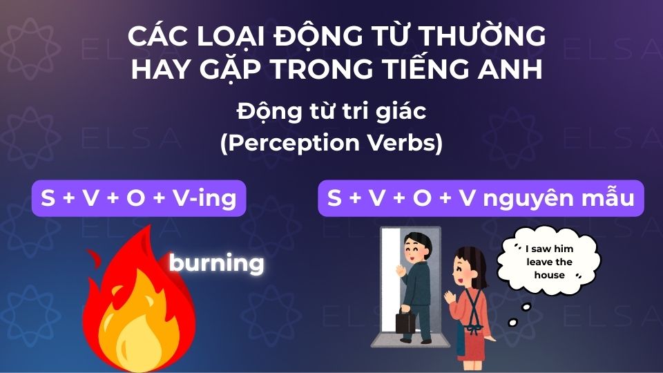 Perception Verbs chỉ hoạt động của giác quan như nghe, nhìn, ngửi, nếm, cảm nhận Perception Verbs chỉ hoạt động của giác quan như nghe, nhìn, ngửi, nếm, cảm nhận