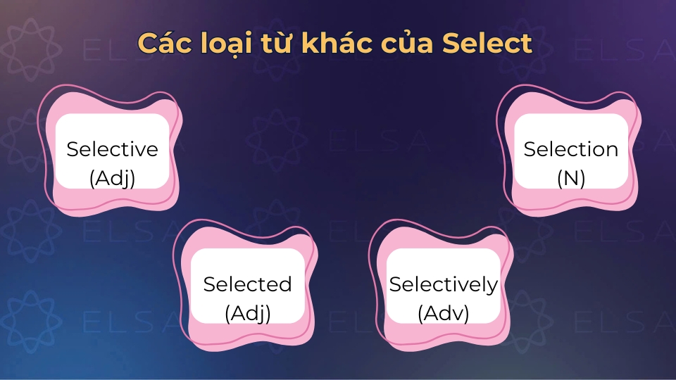 Các dạng từ loại khác của select