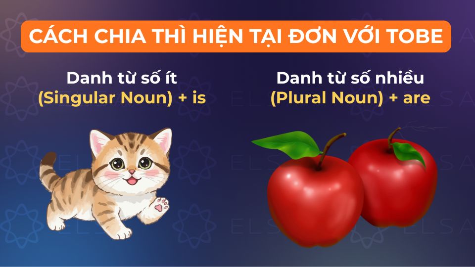 Chia thì hiện tại đơn với tobe khi chủ ngữ là danh từ đếm được
