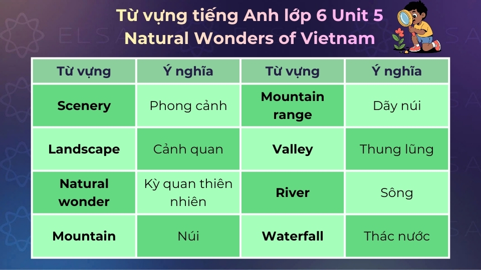 Một số từ vựng tiếng Anh lớp 6 Unit 5