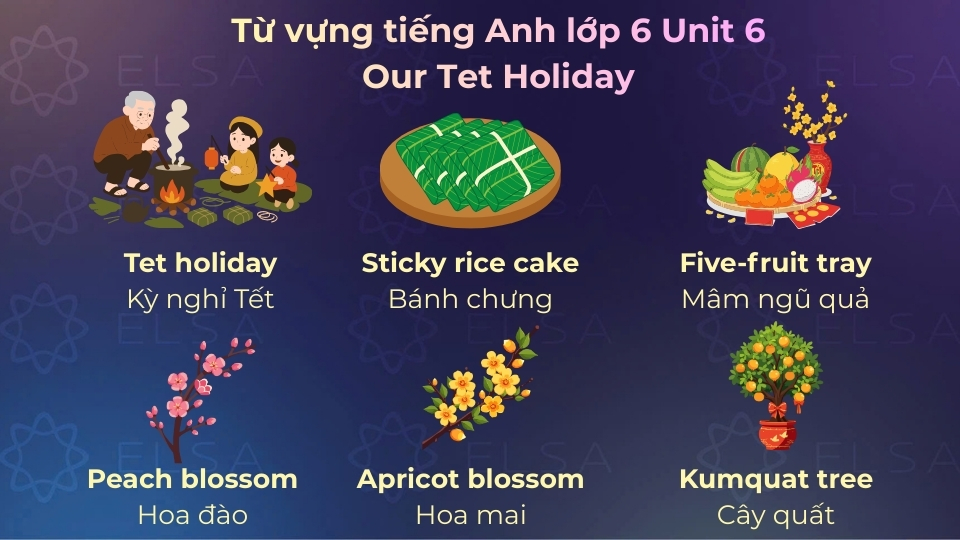 Một số từ vựng tiếng Anh lớp 6 Unit 6