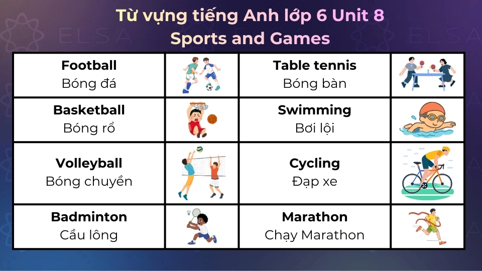 Một số từ vựng tiếng Anh lớp 6 Unit 8