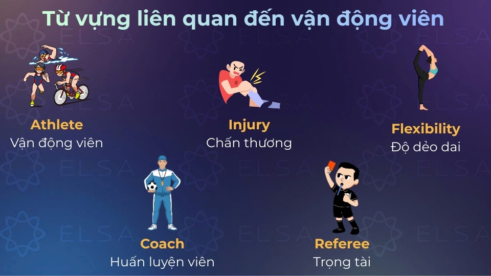 Một số từ vựng liên quan đến vận động viên Một số từ vựng liên quan đến vận động viên