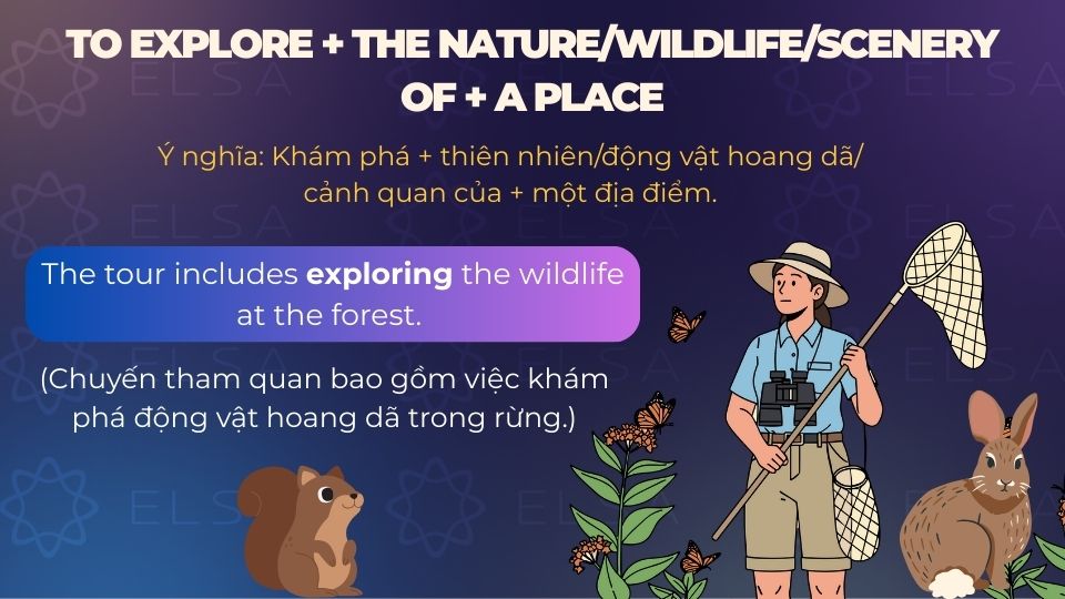 Câu ví dụ cấu trúc trong câu văn viết về du lịch - 10 Câu ví dụ cấu trúc trong câu văn viết về du lịch - 10