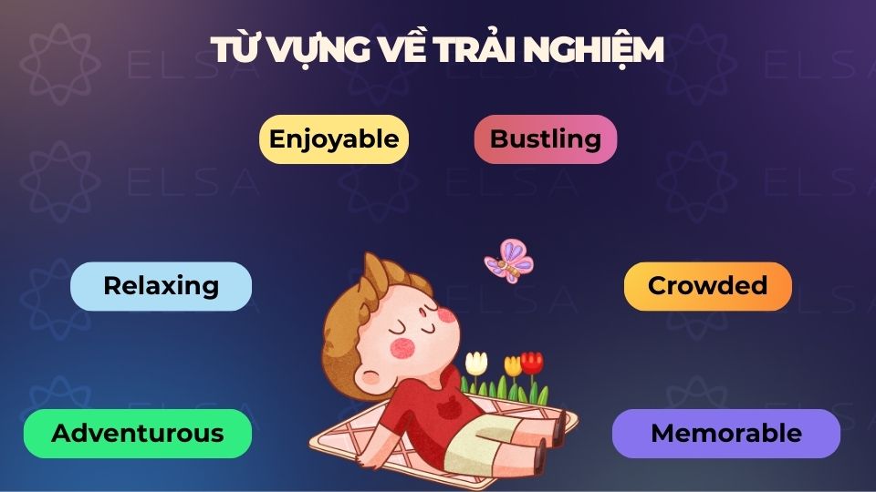 Một số từ vựng về trải nghiệm Một số từ vựng về trải nghiệm