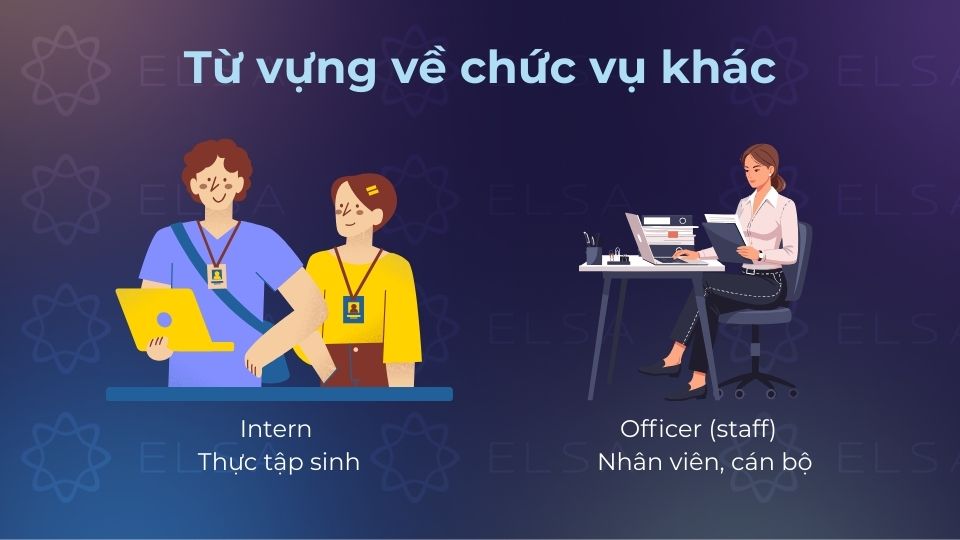 Từ vựng về các chức vụ khác được sử dụng thường xuyên