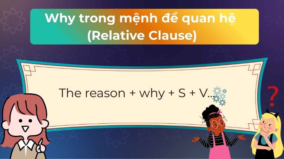 Why thay thế cho cụm từ chỉ lý do, đứng sau danh từ the reason để bổ nghĩa