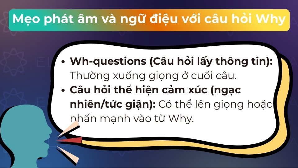 Ngữ điệu câu hỏi Why thường xuống giọng ở cuối câu để tạo vẻ tự nhiên, tò mò