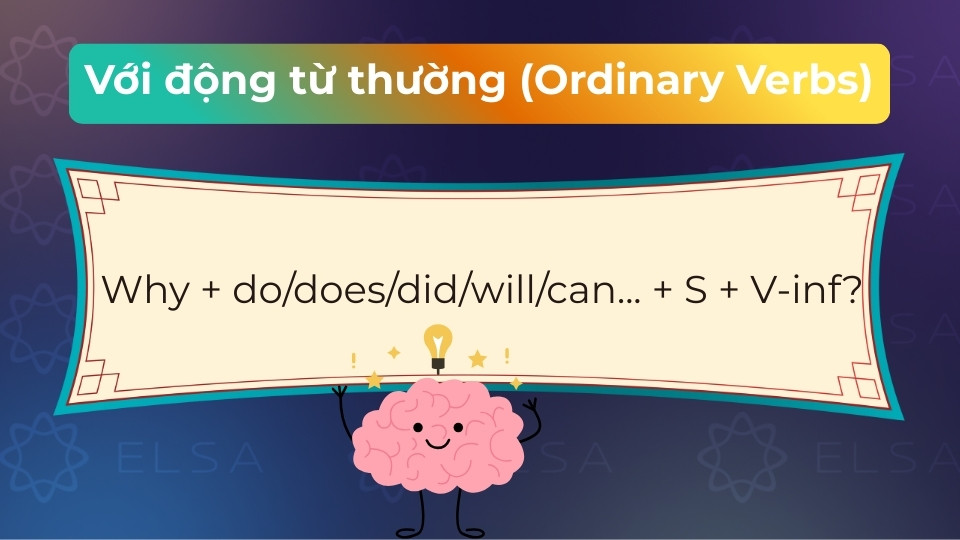 Why dùng với trợ động từ do/does/did để hỏi lý do của một hành động cụ thể