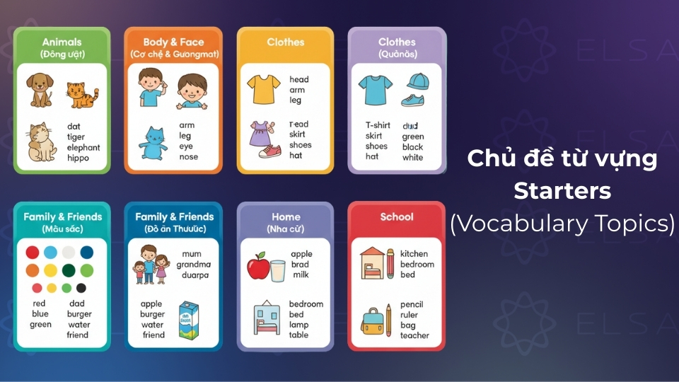 Các chủ đề từ vựng trọng tâm cho kỳ thi Starters
