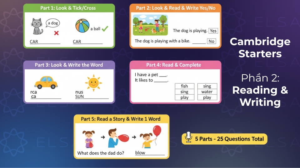 bài thi Cambridge Starters Phần 2: Reading & Writing