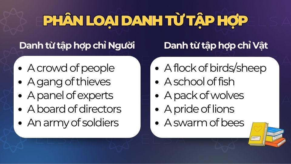 Phân loại các Danh từ tập hợp phổ biến