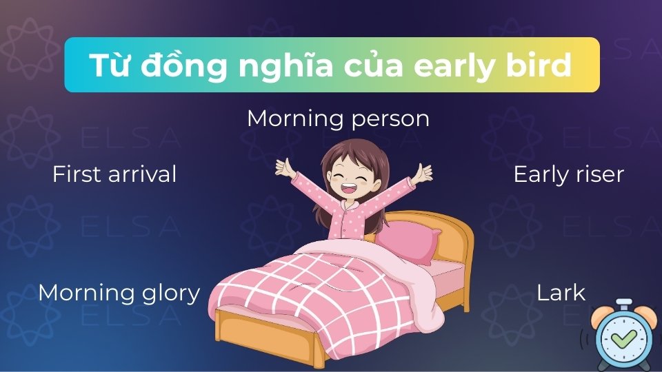 Các từ đồng nghĩa phổ biến với Early bird là Early riser, Morning person, First arrival hay Lark