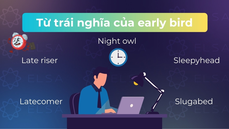 Từ trái nghĩa phổ biến với Early bird là Night owl, Late riser, Latecomer, Sleepyhead hoặc Slugabed