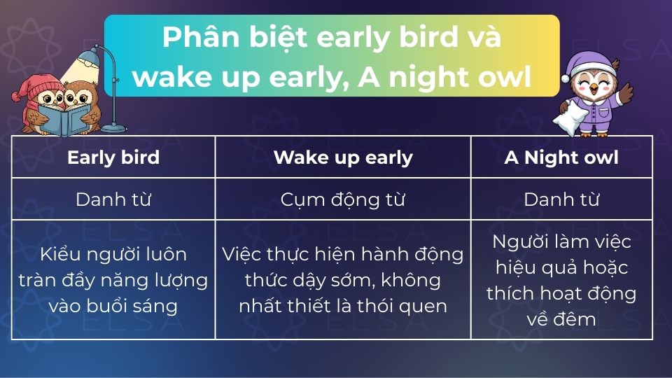 Early bird/Night owl chỉ thói quen, còn Wake up early chỉ hành động thức dậy sớm tức thời