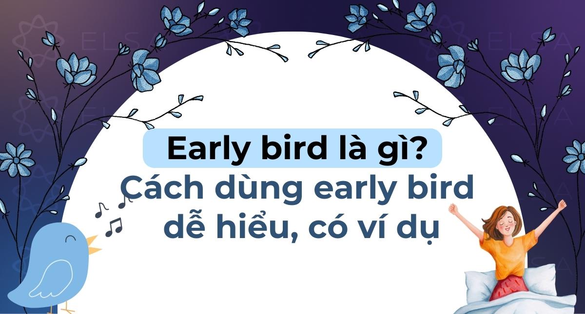 Early bird là gì? Cách dùng early bird dễ hiểu, có ví dụ