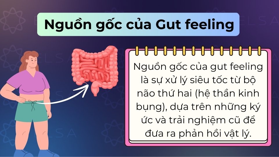 Nguồn gốc của Gut feeling là sự phản hồi siêu tốc từ trải nghiệm cũ qua hệ thần kinh bụng Nguồn gốc của Gut feeling là sự phản hồi siêu tốc từ trải nghiệm cũ qua hệ thần kinh bụng